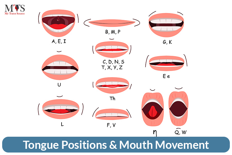 Tongue Positions _ Mouth Movement