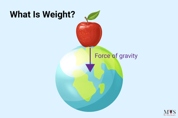 Weight Definition Physics