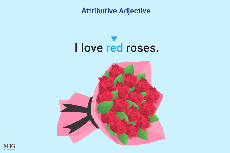 Attributive-Adjectives