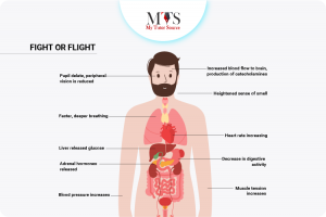 The impacts of sympathetic and parasympathetic nervous system